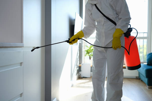 Best Bathroom Mold Remediation in Amite City, LA
